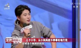 调解 爆料母亲丑事视频,母亲丑事视频引发家庭矛盾，调解员如何化解危机？