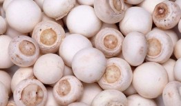 吃瓜独家爆料黑料蘑菇视频,揭秘黑料蘑菇视频背后的惊人真相