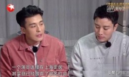 娱乐吃瓜王祖蓝视频在线观看,笑料百出，娱乐至极