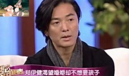 明星爆料丁克视频,丁克生活背后的真实故事