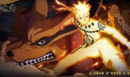 火影从哪看爆料的视频,揭秘幕后爆料，跟随视频探寻忍界传奇