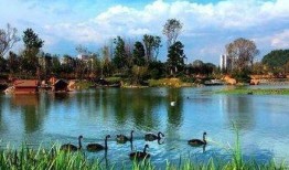 吉林公园爆料视频大全,揭秘公园里的那些事儿