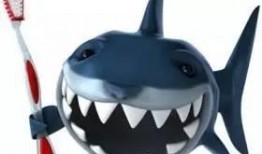 鲨鱼牙膏爆料视频播放在线观看,揭秘口腔护理新潮流