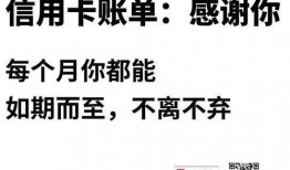 感恩节最新爆料新闻稿,揭秘背后的温馨故事与惊人真相