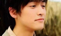 女演员爆料胡歌视频是真的吗,胡歌视频爆料真实性探讨