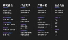 短爆料视频运营,爆款爆火背后的秘密解析