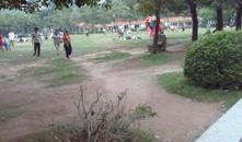 吉林公园爆料视频大全,揭秘公园里的那些事儿