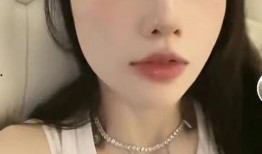 网友爆料李小璐视频,网友爆料引发热议