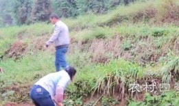 最新爆料农村四哥,揭秘新时代农村创业新势力