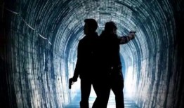 刑侦队电影在线观看,在线观看，揭秘犯罪背后的真相