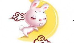 属兔最新爆料,揭秘生肖兔的神秘面纱