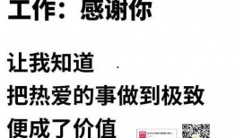 感恩节最新爆料新闻稿,揭秘背后的温馨故事与惊人真相
