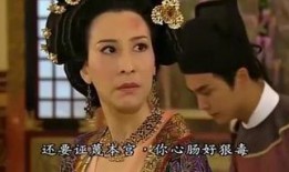 宫心计国语在线观看,宫廷权谋，爱恨情仇，在线观看揭秘