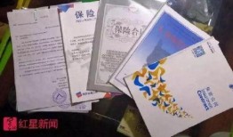 北郊纸盒厂爆料案件最新,揭开背后惊人真相