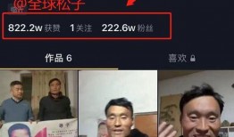 山东二哥爆料视频播放,揭秘幕后真相，引发网友热议