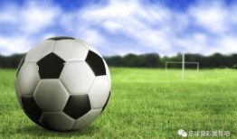 上港足球爆料视频大全下载,精彩瞬间尽收眼底