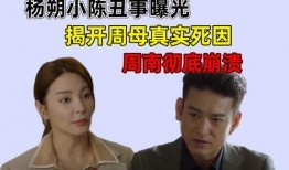 调解 爆料母亲丑事视频,母亲丑事视频引发家庭矛盾，调解员如何化解危机？