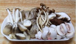 吃瓜独家爆料黑料蘑菇视频,揭秘黑料蘑菇视频背后的惊人真相