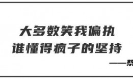 爆料娱乐圈文案句子简短,揭秘明星幕后真相