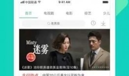 文玩胖子爆料视频大全下载,一网打尽行业热点与内幕