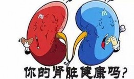 尿毒症最新爆料,治疗新突破与预防策略