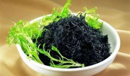 紫菜制作爆料怎么做的视频,轻松学会家常美味紫菜料理视频教程