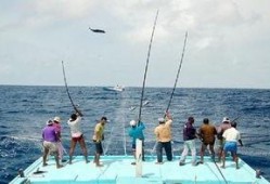 娱乐吃瓜钓鱼视频大全下载,一键下载收藏！