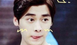 新闻爆料李易峰视频大全,盘点明星魅力瞬间