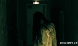 丧尸爆发爆料故事大全视频,揭秘爆料故事大全背后的惊悚真相