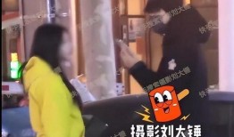 刘大锤爆料爱豆是谁啊视频,视频爆料爱豆身份大猜想