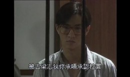 弑兄奇案在线观看,真相背后的家族复仇之谜