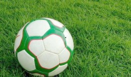 上港足球爆料视频大全下载,精彩瞬间尽收眼底